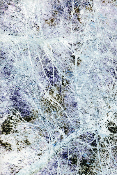 FRAGILE